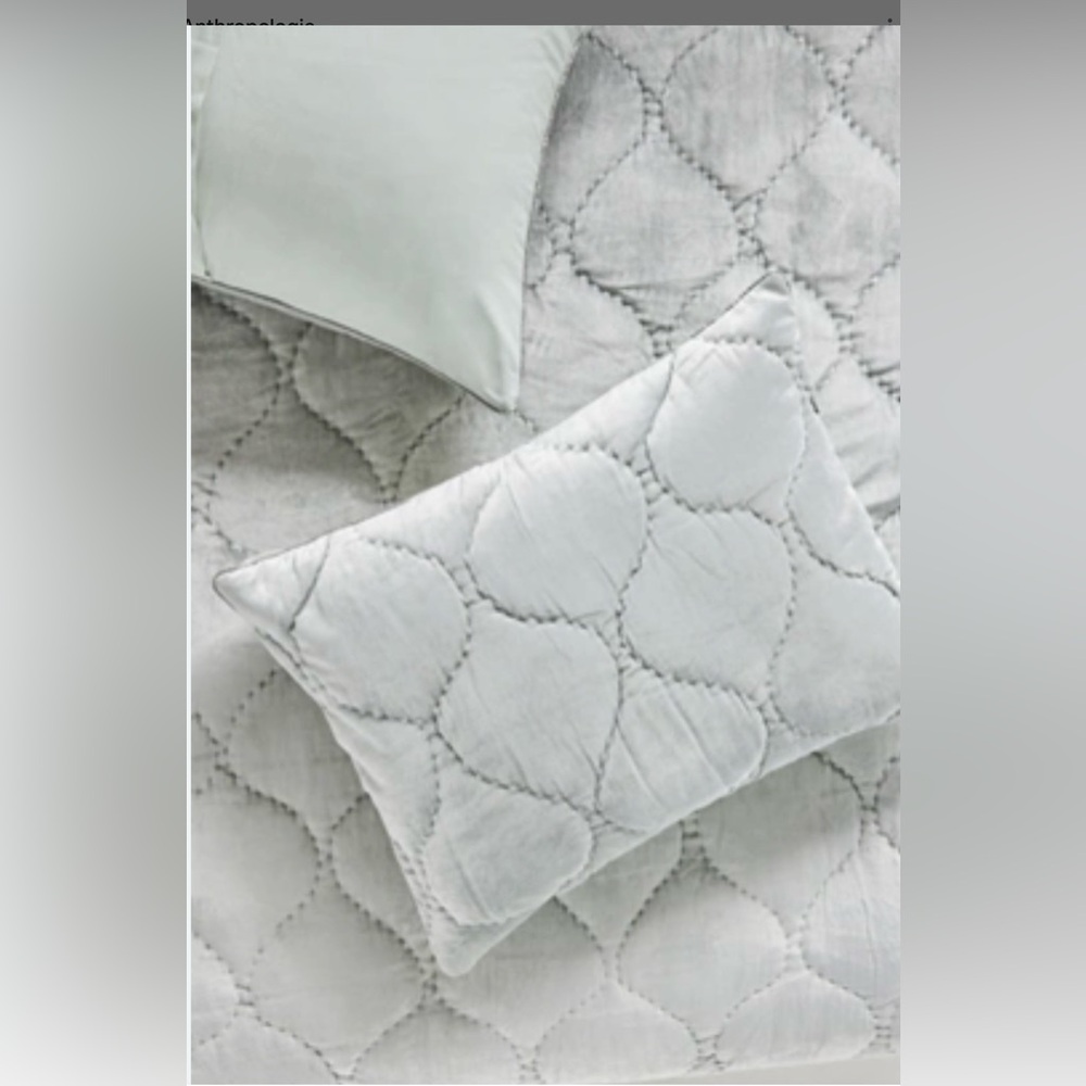 Anthropologie Claire Cotton Velvet Satin STANDARD SHAMS (set of 2) ~Smoke NEW